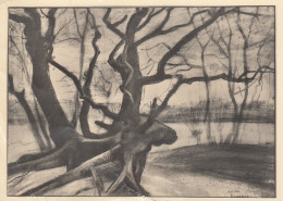 VINCENT VAN GOGH Study Of A Tree Ngl #D9670 - Schilderijen