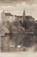 Sigmaringen Schloss Ngl #E0164 - Altri & Non Classificati