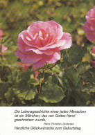 Geburtstag-Wünsche Mit Rose Und Vers Von Andersen Ngl #E0015 - Geburtstag