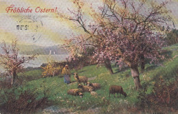 Ostern-Wünsche Mit Schafen Und Blühenden Obstbäumen Gl1910? #E1362 - Pâques