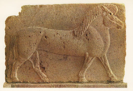 Pferde-Relief - Museum Ankara Ngl #E0330 - Türkei