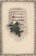 Neujahr-Wünsche Tannenzweig Mit Glückskleeblatt Gl1917 #E0485 - Nieuwjaar
