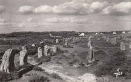 Carnac (Bret.) Les Alignements Du Ménec Ngl #E0605 - Carnac