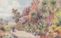 Torquay, Rock Walk Ngl #E1881 - Other & Unclassified