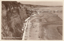 Shanklin, Appley Cliffs And Beach Gl1928 #E1400 - Autres & Non Classés