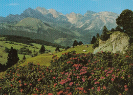 Val Gardene Alpe Di Siusi Verso Le Odle Gl1980? #E1613 - Autres & Non Classés