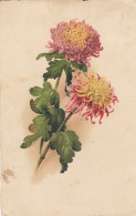 Chrysanthemen Gl1929 #E1185 - Sonstige & Ohne Zuordnung