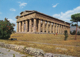 Paestum, Tempio Di Nettuno Ngl #E2629 - Andere & Zonder Classificatie