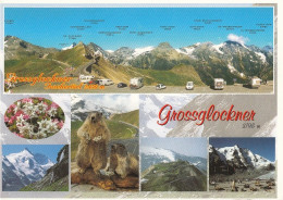 Großglockner, Mehrbildkarte Ngl #E3213 - Sonstige & Ohne Zuordnung