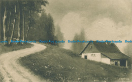 R030100 Old Postcard. House And Path To The Woods - World