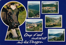 Coup D'oeil Indiscret Sur Les Vosges Ngl #E3798 - Elsass