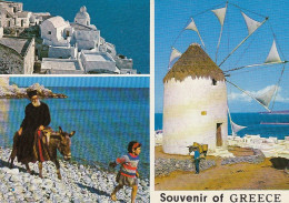 Souvenir Of Greece Ngl #E3816 - Grèce