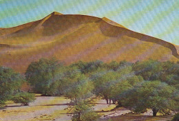 SWA Sickle Dune On The Kuiseb River Near Gobabeb1972? Gl1972? #E4061 - Non Classificati