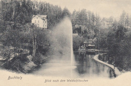 Buchholz I. Sa. - Blick Nach Dem Waldschlösschen Feldpgl1915 #E4207 - Otros & Sin Clasificación