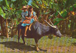 Philippinen, Carabao Ngl #E4897 - Otros & Sin Clasificación