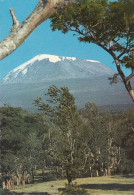 Tansania, Mount Kilimanjaro Ngl #E4907 - Ohne Zuordnung