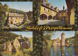 Schloß Mespelbrunn, Spessart,Mehrbildkarte Ngl #E5051 - Sculptures