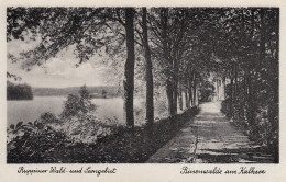 Ruppiner Wald- U.Seengebiet: Binenwalde Am Kalksee Ngl #E4806 - Altri & Non Classificati