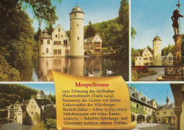Schloß Mespelbrunn, Spessart,Mehrbildkarte Mit Historie Ngl #E5052 - Sculpturen