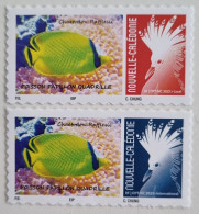 SERIE CAGOU PERSONNALISE LOGO POISSON PAPILLON QUADRILLE 2024 ISSUE D'UNE FEUILLE DE 25 TIMBRES TB - Nuevos