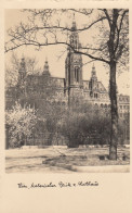 Wien, Malerischer Blick Zum Rathaus Ngl #E6341 - Altri & Non Classificati