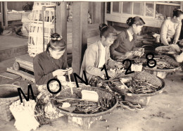 BIRMANIE - FABRICATION DE CIGARES 1960 - PHOTO D'EPOQUE 12,5x9 Cms - Azië