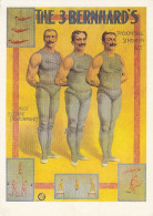 The 3 Bernhard's, Kraftakrobatic (1905) Ngl #E6587 - Reclame