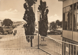 Erfurt, Internationale Gartenbauausstellung 1964 Gl1964 #E5891 - Sculptures