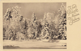 Neujahr-Grüße Mit Winterwald Gl1938 #E6216 - Nieuwjaar