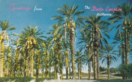 Date Harvest, Indio, Calif. Ngl #E6485 - Sonstige & Ohne Zuordnung