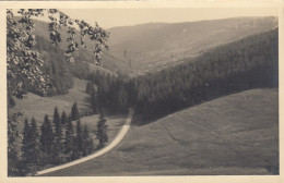 Schmiedefeld Am Rennsteig, Panorama Gl1955 #E7306 - Other & Unclassified