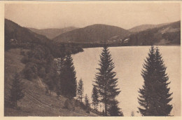 Titisee, Schwarzwald, Panorama Ngl #E6529 - Andere & Zonder Classificatie