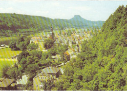 Sächs.Schweiz, Bad Schandau Gegen Lilienstein Ngl #E7506 - Autres & Non Classés