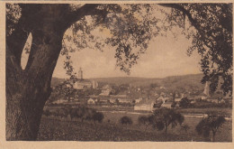 Gundelsheim Am Neckar, Blick über Den Neckar Gl1923 #E6813 - Andere & Zonder Classificatie