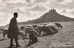 Schafherde Vor Der Burg Hohenzollern Glum 1960? #E7556 - Andere & Zonder Classificatie