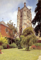 62. SAINT-OMER – La Cathédrale  - Saint Omer