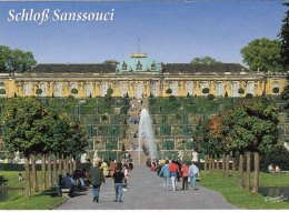 Potsdam. Schloss Sanssouci Mit Weinberg Ngl #E7275 - Otros & Sin Clasificación