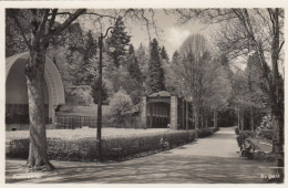 Badenweiler Im Schwarzwald, Partie Im Kurpark Gl1931 #E6758 - Andere & Zonder Classificatie