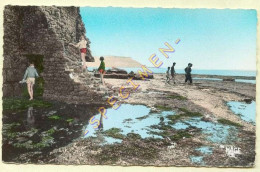 62. LE PORTEL – La Cueillette Des Moules / Le Fort De L'Heurt (animée) CPSM  - Le Portel