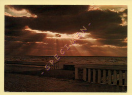 62. STELLA-PLAGE – Coucher De Soleil Sur La Mer (voir Scan Recto/verso) - Autres & Non Classés