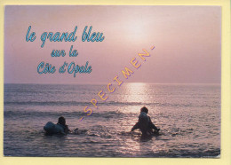 62. Le Grand Bleu Sur La Côte D'Opale – Baignade Au Coucher Du Soleil (animée) (voir Scan Recto/verso) - Andere & Zonder Classificatie