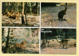 62. BAGATELLE Parc D'Attractions Entre BERCK Et MERLIMONT – Quelques Spécimens Du ZOO (animaux) (voir Scan Recto/verso) - Andere & Zonder Classificatie