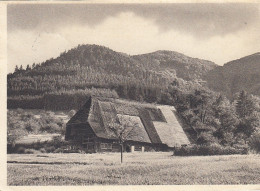 Schwarzwald, Wiesengrund Im Gutachtal Gl1953 #E8097 - Autres & Non Classés