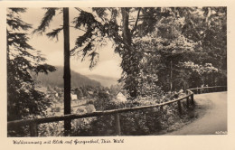 Waldsaumweg Mit Blick Auf Georgenthal, Thür.Wald Gl1960 #E7329 - Other & Unclassified