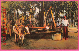 Af9269 - MYANMAR  Burma  -  VINTAGE POSTCARD - Ethnic - Myanmar (Burma)