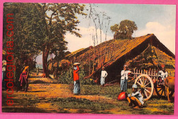 Af9270 - MYANMAR  Burma  -  VINTAGE POSTCARD - Ethnic - Myanmar (Birma)