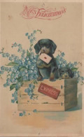 FANTAISIE, CARTE GAUFFREE, MES FELICITATIONS, CHIENS DANS CAISSE AVEC COURRIER EXPRESS COULEUR  REF 16081 - Otros & Sin Clasificación