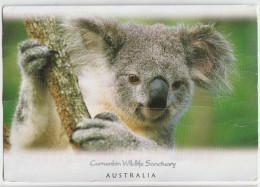 Australia QUEENSLAND QLD Koala Wildlife Sanctuary CURRUMBIN Murray Views GEN630 Postcard C2000s - Otros & Sin Clasificación