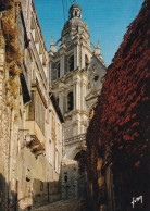 41, Blois, Cathédrale St Louis Vue Du Grand Degré - Blois