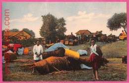 Af9303 - MYANMAR   Burma -  VINTAGE POSTCARD - Ethnic - Myanmar (Birma)